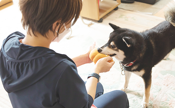 常駐スタッフは、介護福祉士と動物看護師