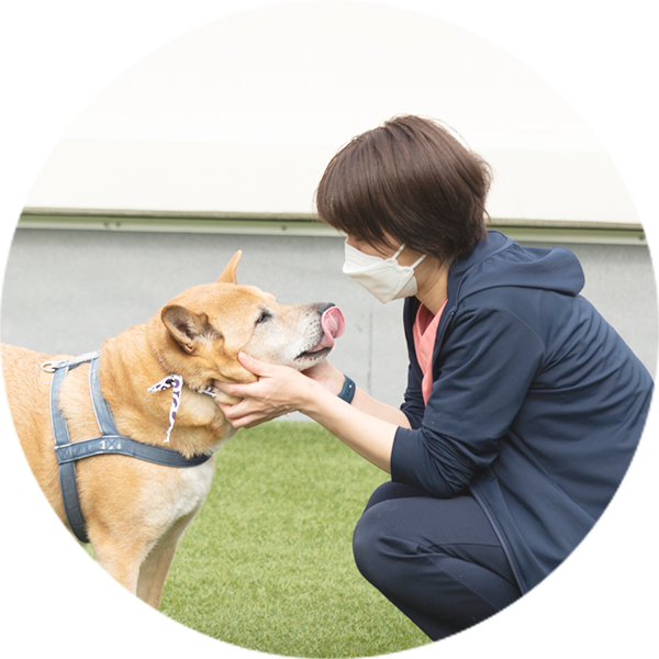 医師による定期的な検診と急病対応