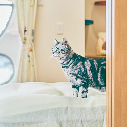 動物の生態を研究した快適な住まい