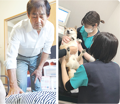 医師による定期的な検診と急病対応