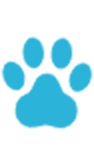 犬 1頭