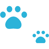 犬 2頭